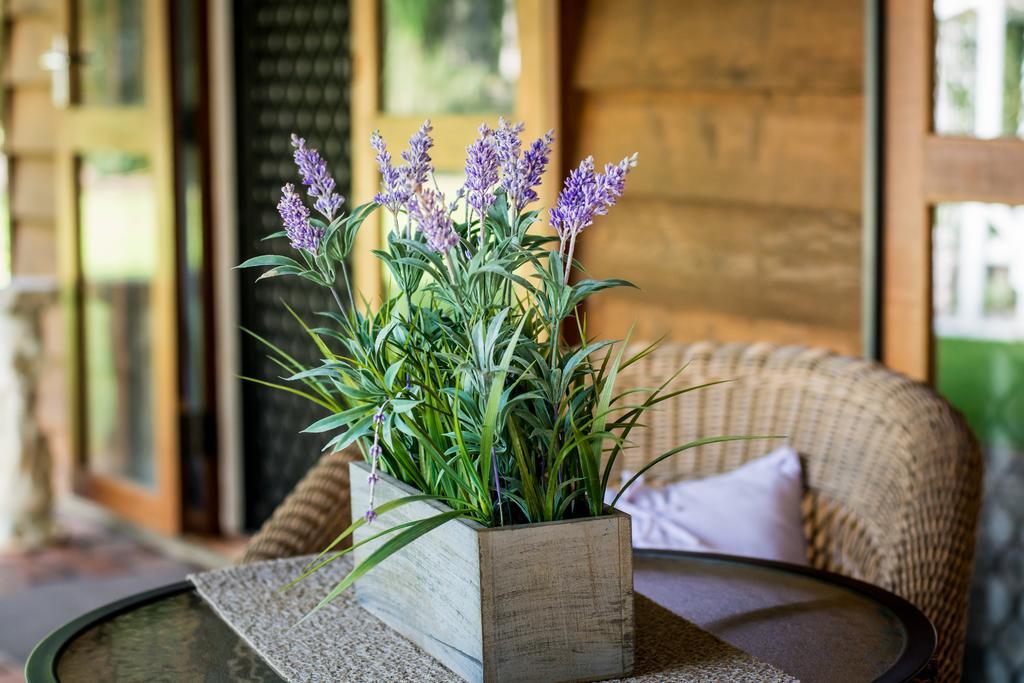 Ronday-Voo Bed And Breakfast Speewah エクステリア 写真